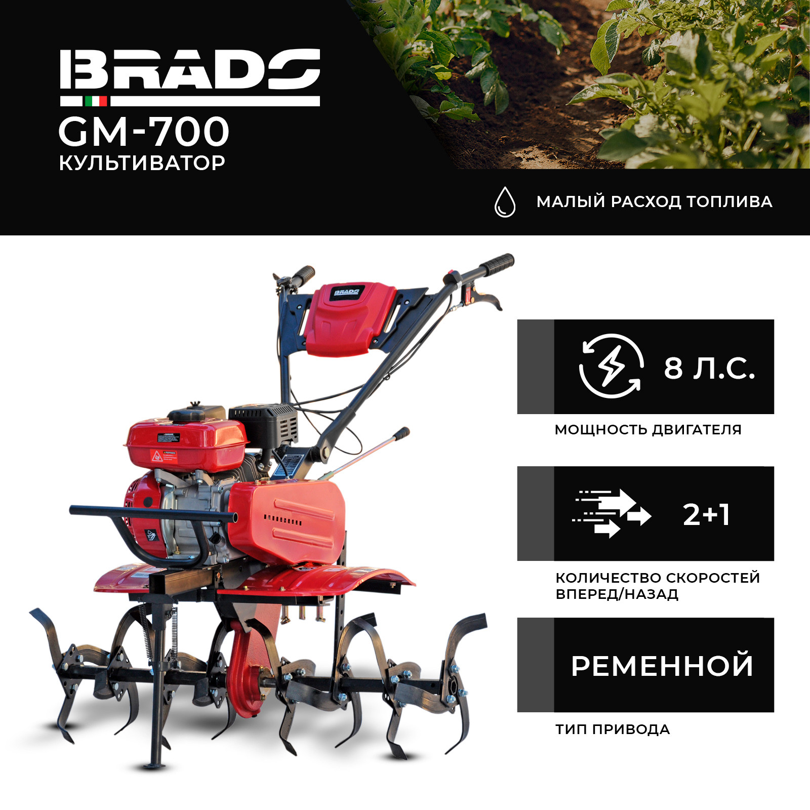 �����������  BRADO GM-700  (8 �.�., ��� ���, ������� 2+1, ��� ����)