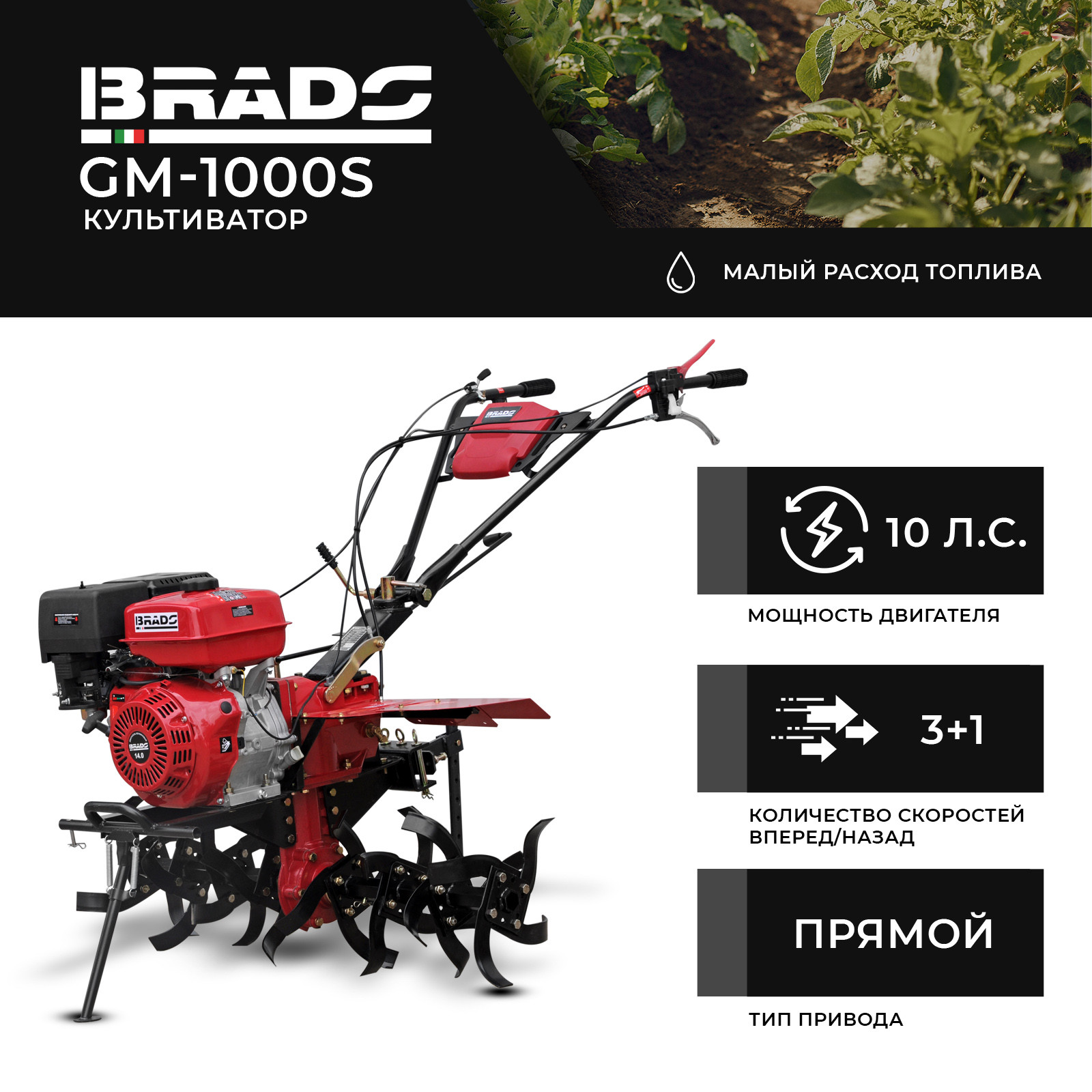 ����������� BRADO GM-1000S (10 �.�., ��� ���, ���.��������, 3+1, ��� ����)