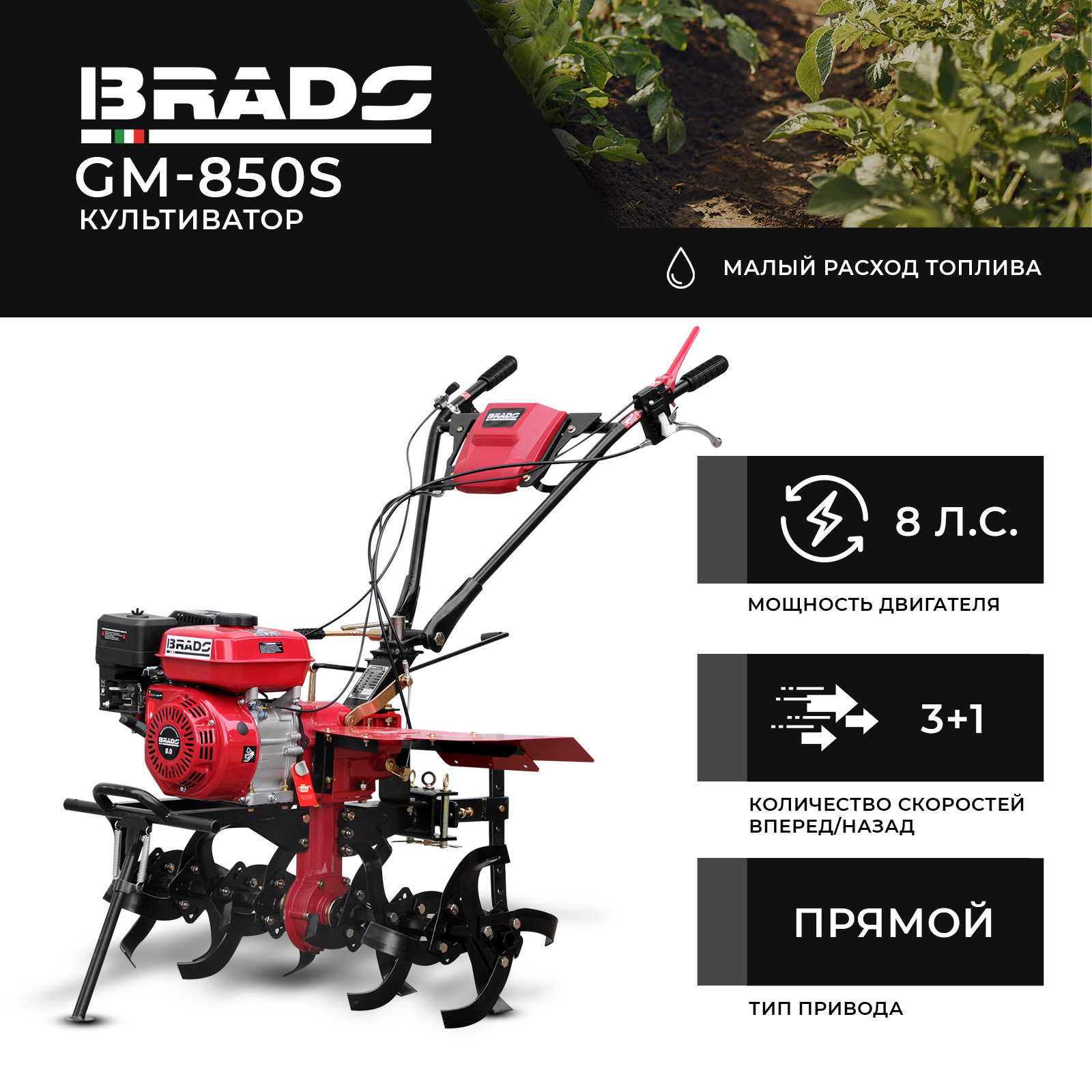 �����������  BRADO GM-850S (8 �.�., ��� ���, ���.���, 3Ư, ��� ����)