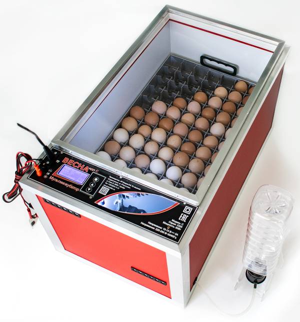 ��������������� �����