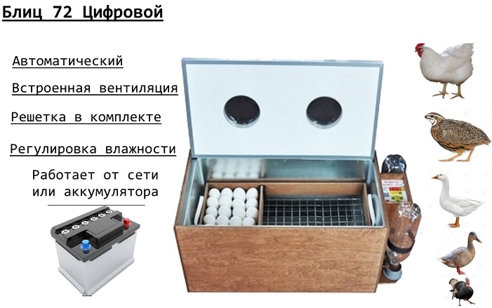 ��������� ����-72 �                                    