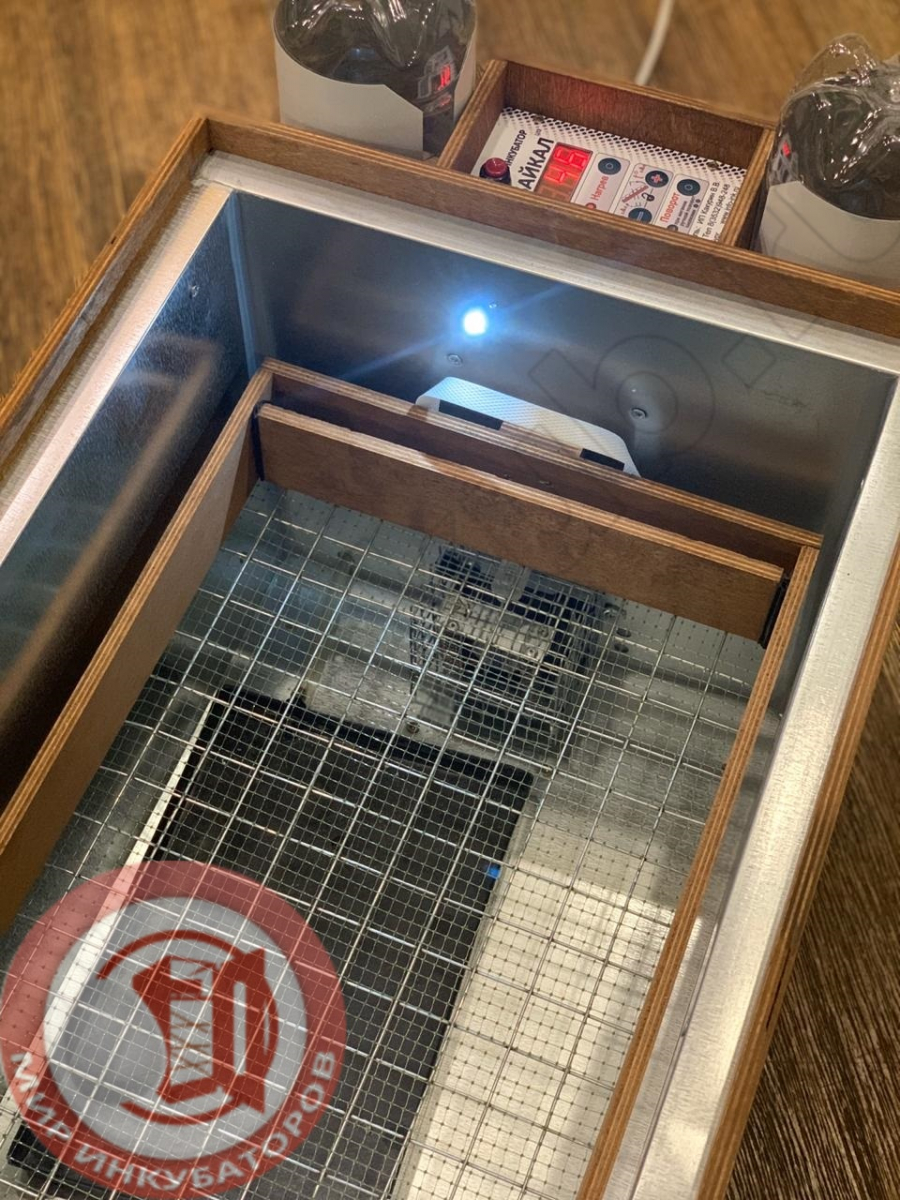 ��������� ���� 72 ������ �12