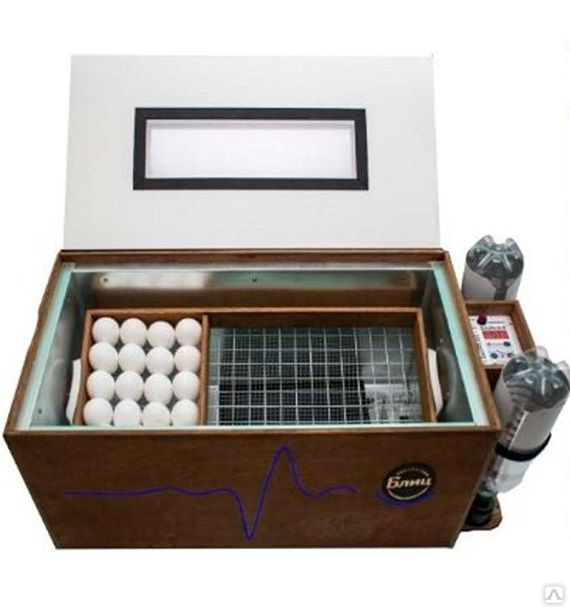 ��������� ���� 72 ������ �12