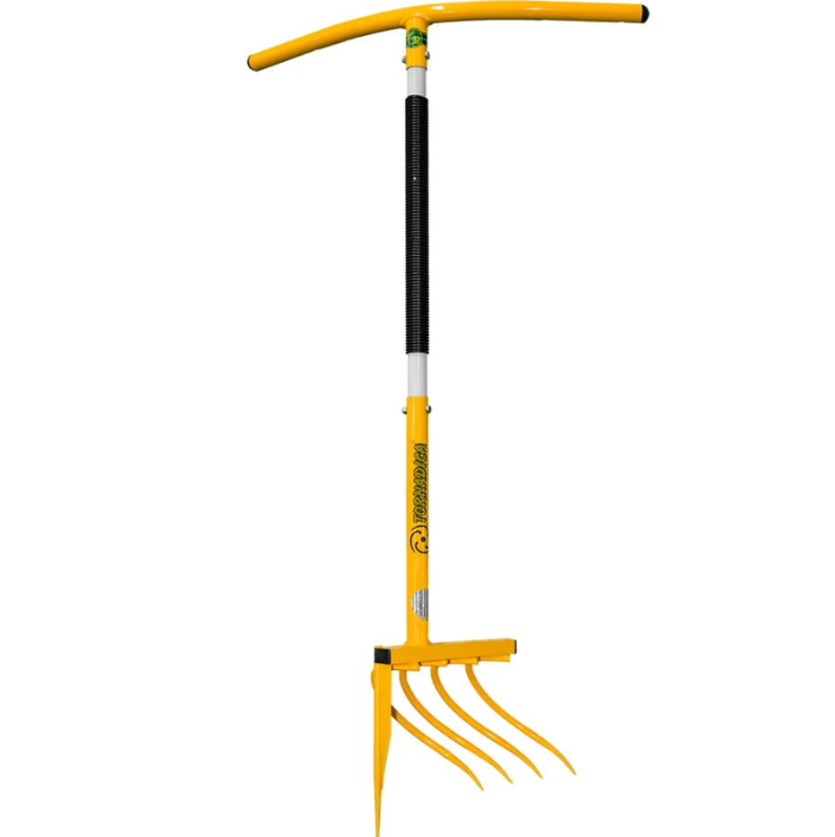 ������ �����������-����������������� ���������