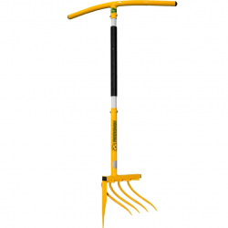 ������ �����������-����������������� ���������