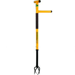 ����������� �������� ���������