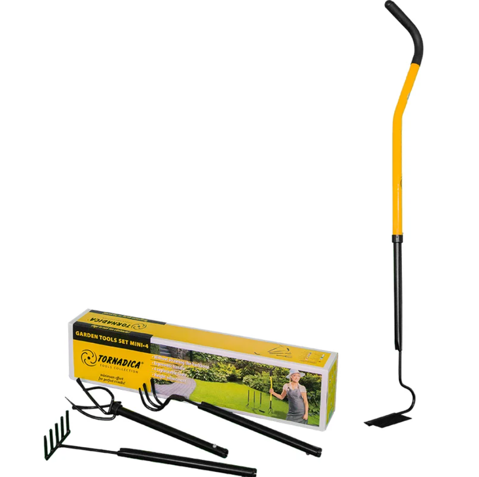 ������� ����� ���� 4 ��������� 