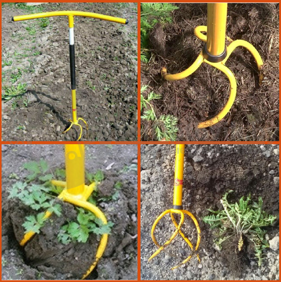 ������ ����������� �������������� ��������� (�������)