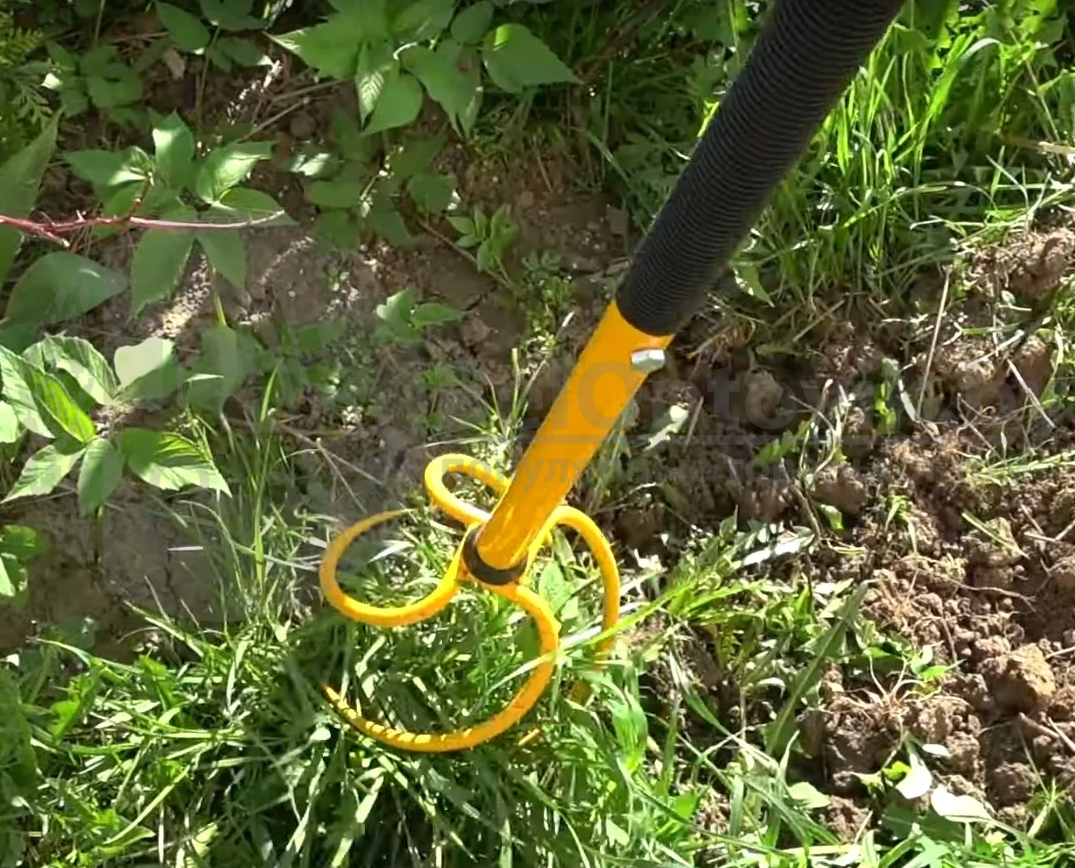 ������ ����������� �������������� ��������� (�������)