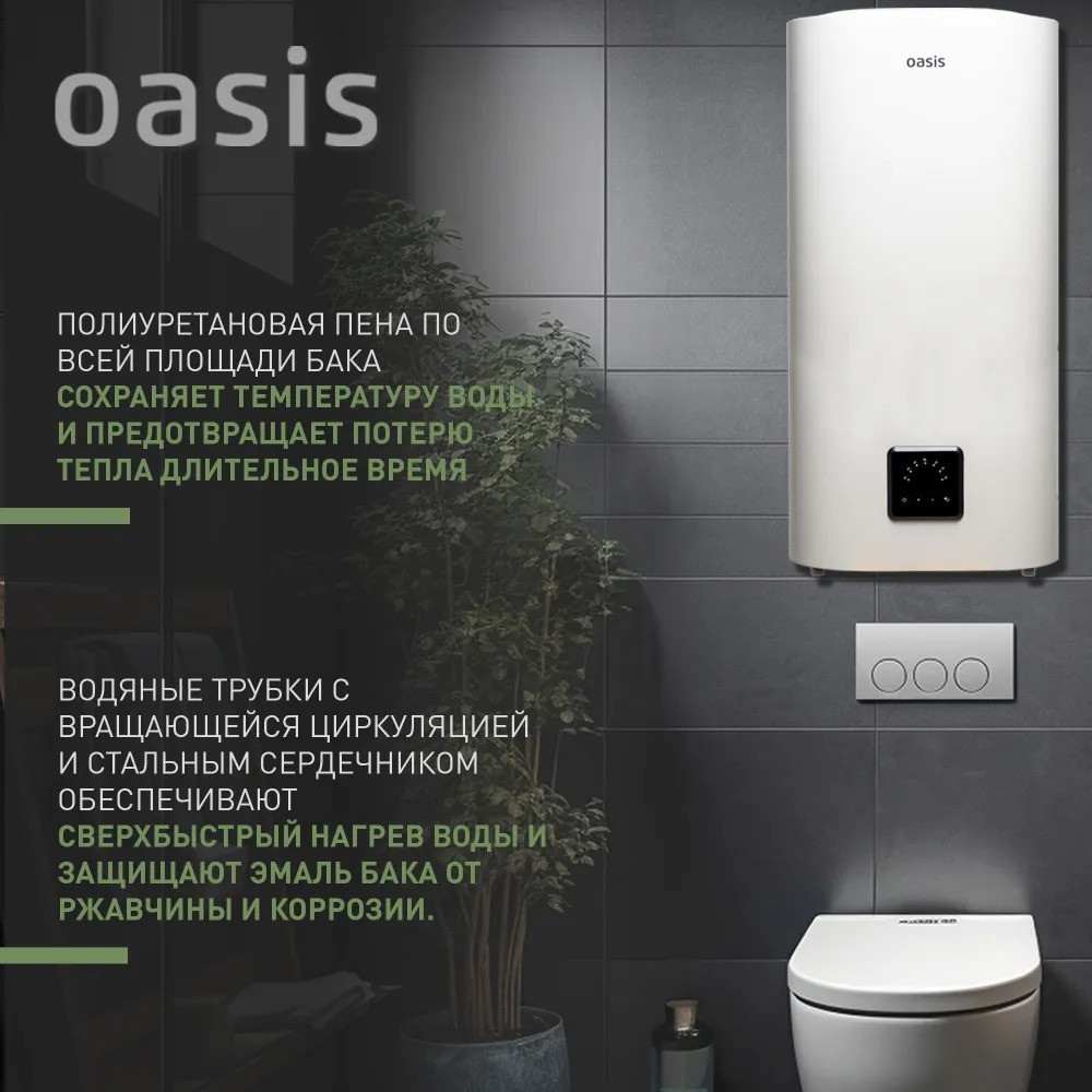 ��������������� �������. Oasis ��-100 (2���, 100�, ������ ���, ����/���, ��� �����, ���, ���������.)