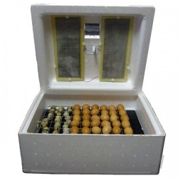 ��������� �������-63-��-12� (�����������, �������� ���������, 12�) �/� 75�