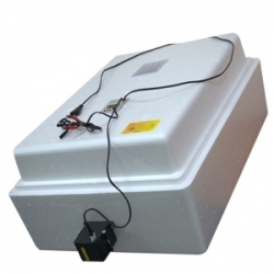 Инкубатор Несушка-77-ЭВГA-12В (цифровой, автомат, вентилятор, 12 в, гигрометр), н/н 63Вг