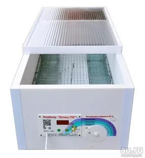 ��������� �������-����